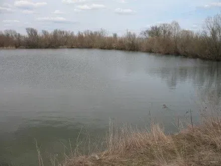 Развлечения в загородном комплексе «Царевка» (Киев, Житомир)