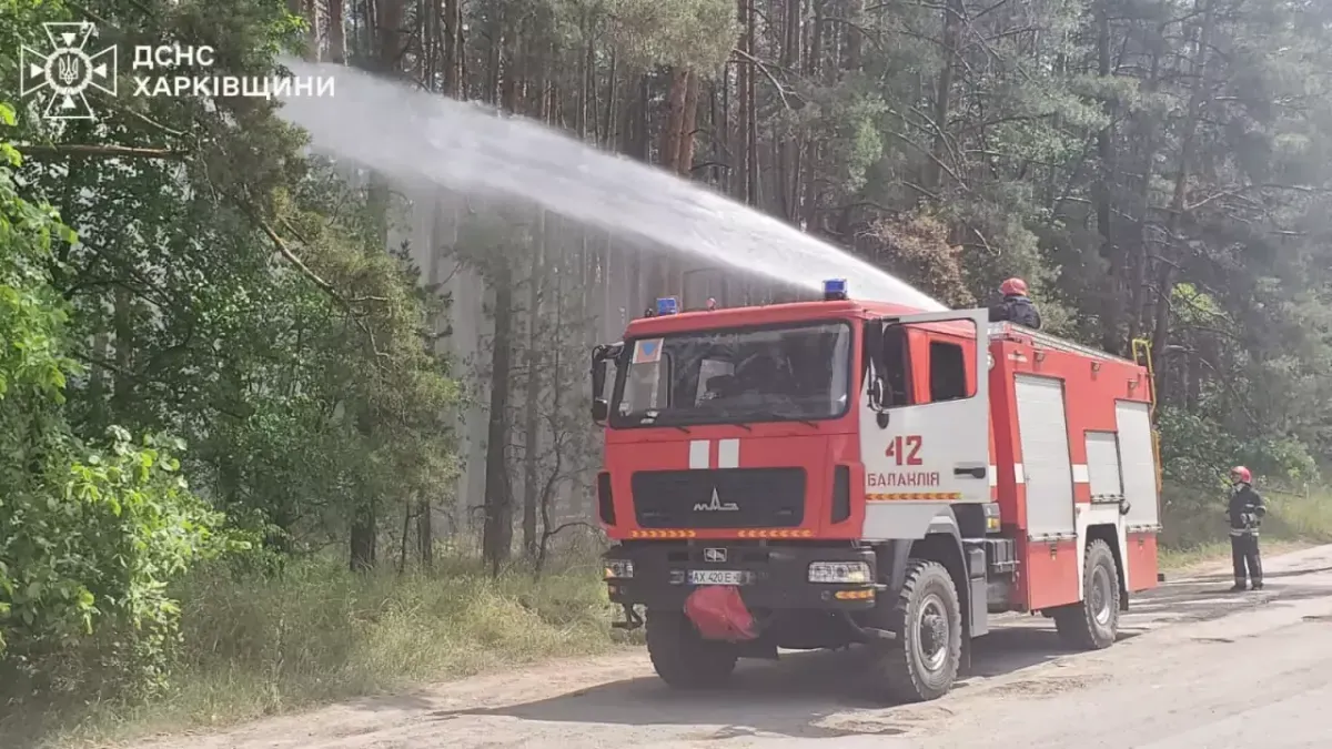 В Харьковской области лесными пожарами охвачено 3 тысячи гектаров | УНН