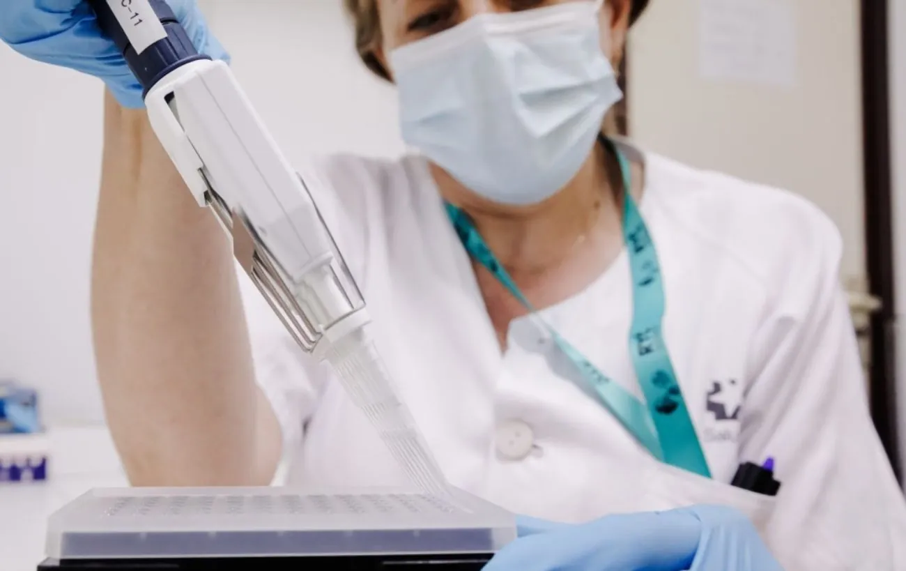 A new strain of monkeypox has been discovered: the first cases have ...