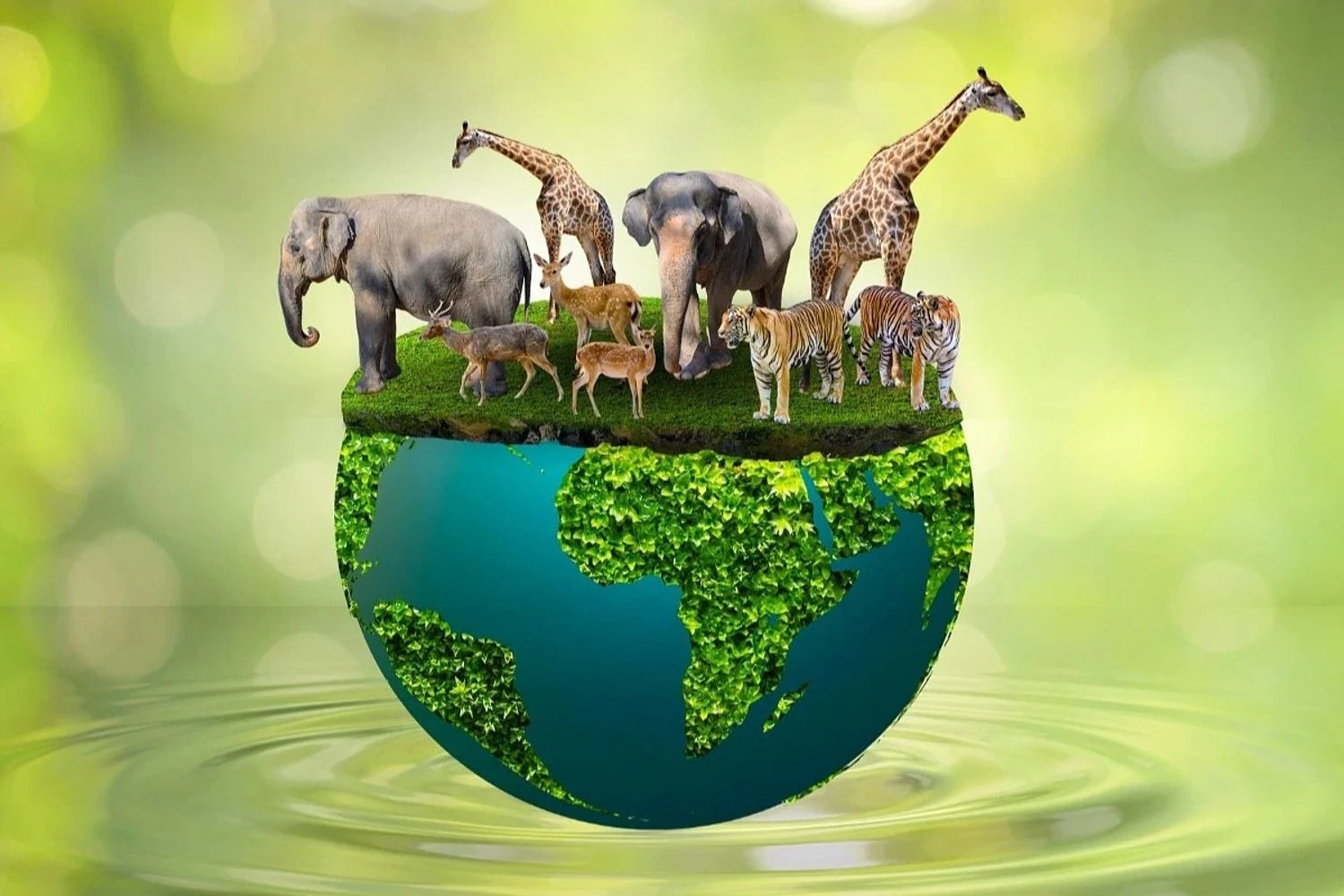 World Animal Day and the beginning of World Space Week: what else is ...