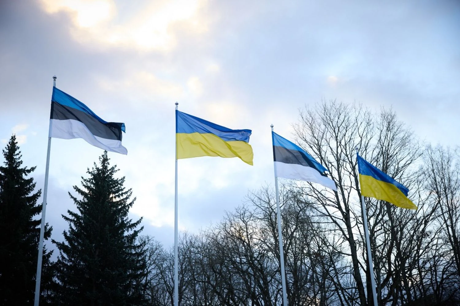 Estonia calls on EU to lift fiscal restrictions for Ukraine funding