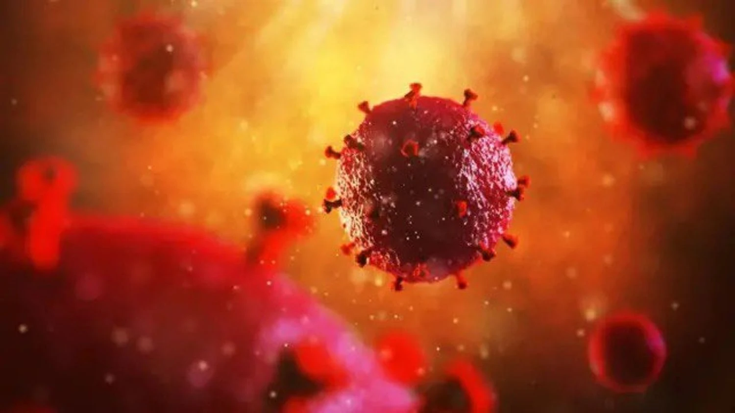 Scientists from the University of Cologne have discovered a "promising" antibody against HIV