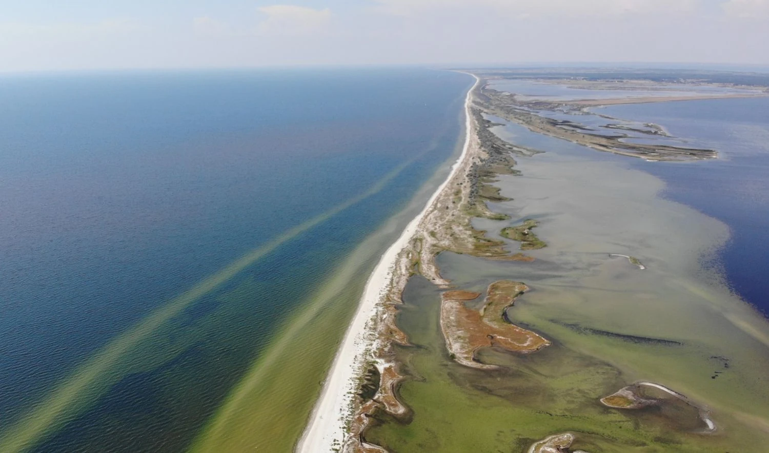 Kinburn Spit destroyed: ecologists and military report catastrophic consequences