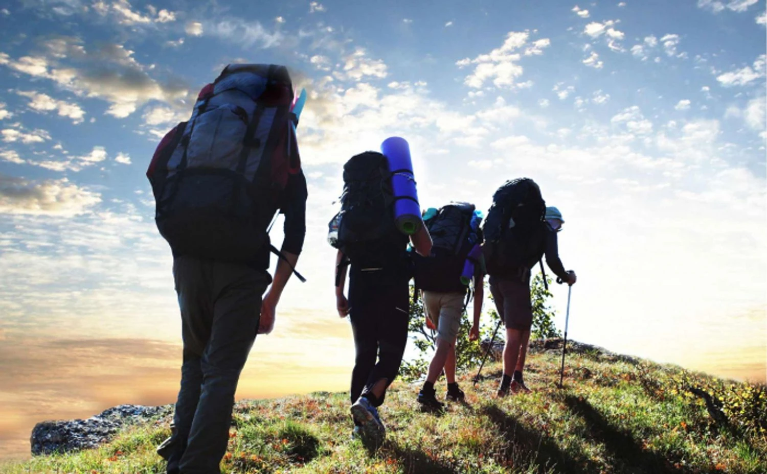 World Responsible Tourism Day and International Medical Physics Day: what else is celebrated on November 7