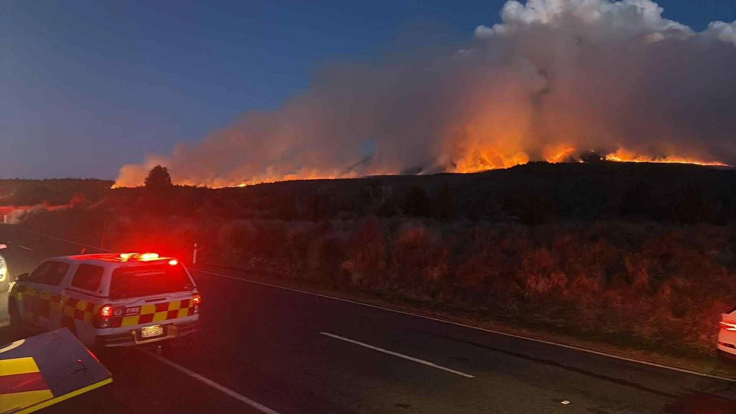 Forest fires in New Zealand: almost fifty tourists evacuated, 1600 hectares engulfed in flames