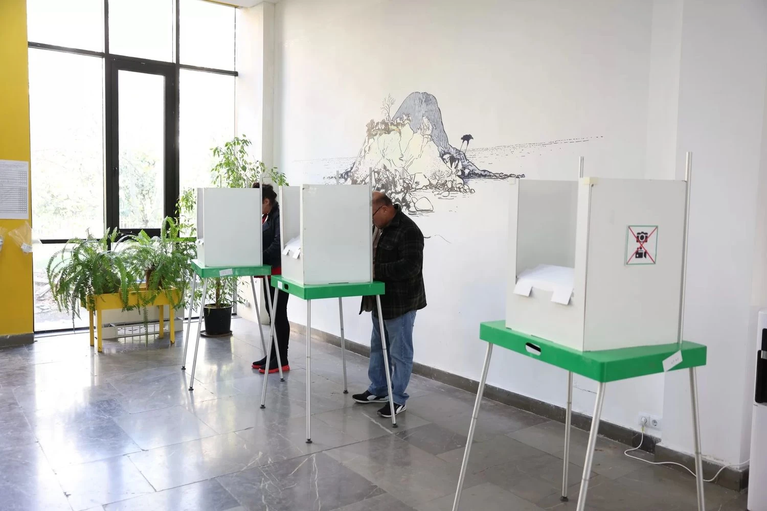 "They might make the wrong choice": ruling party wants to take away Georgians' right to vote abroad