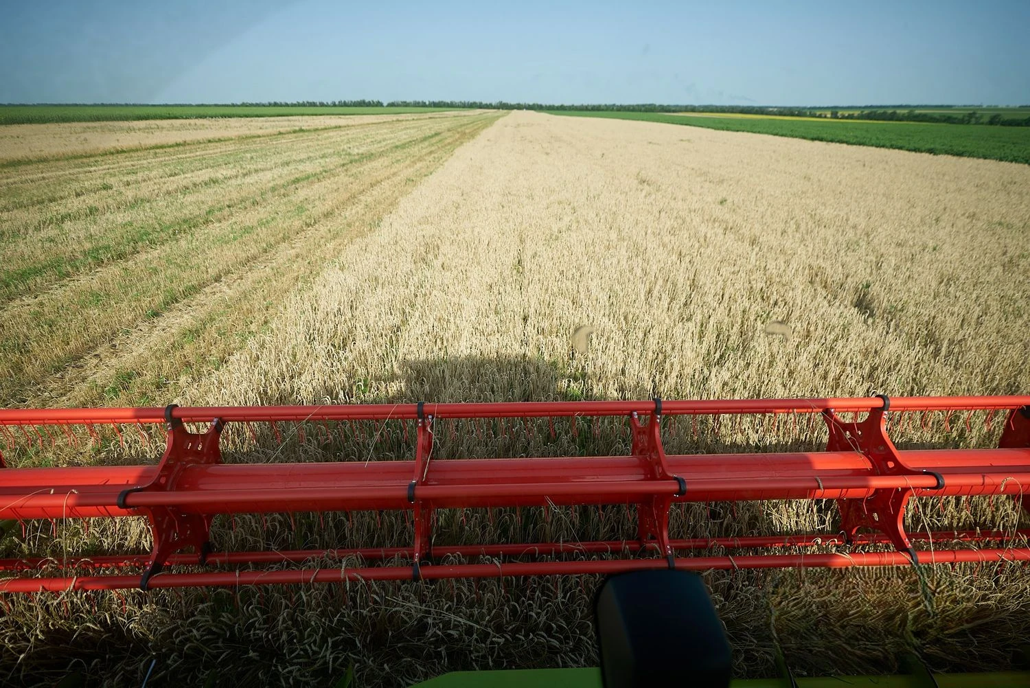 Україна завершує жнива: очікується до 60 млн тонн зерна і до 20 млн тонн олійних нового врожаю