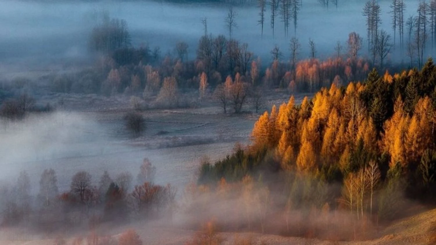 Winter in Ukraine will begin with autumn weather – forecaster's prediction for December 1