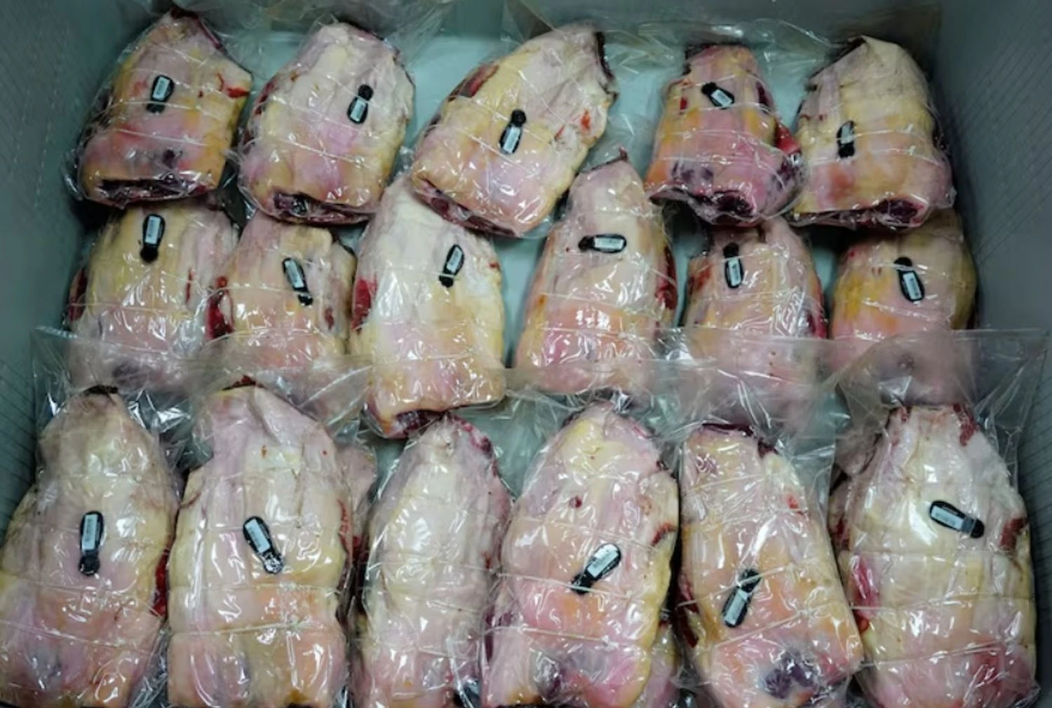 Spain records new suspected cases of African swine fever: pork exports at risk, markets closing