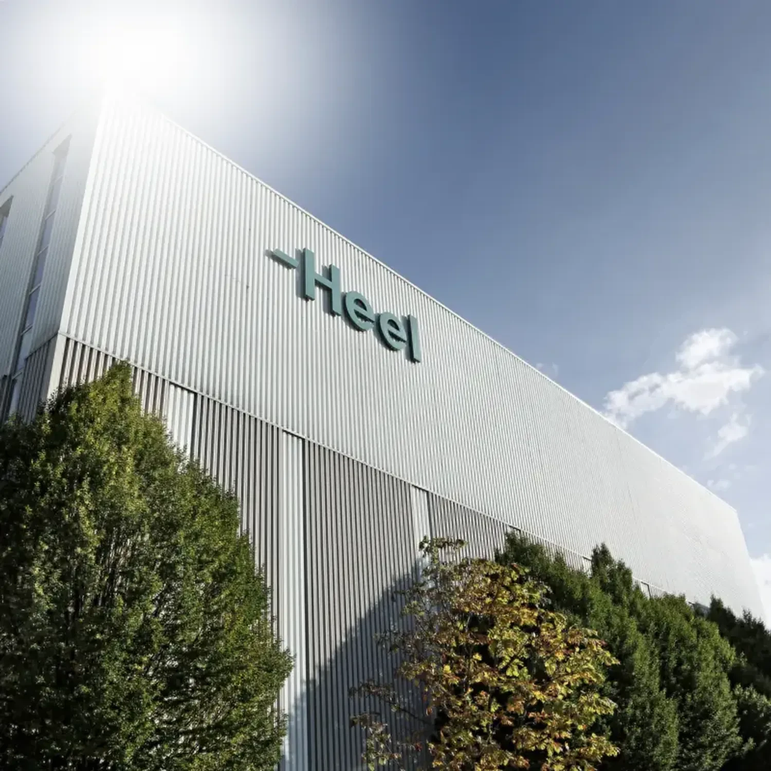 A popular medicine from the German manufacturer Heel is returning to Ukrainian pharmacies