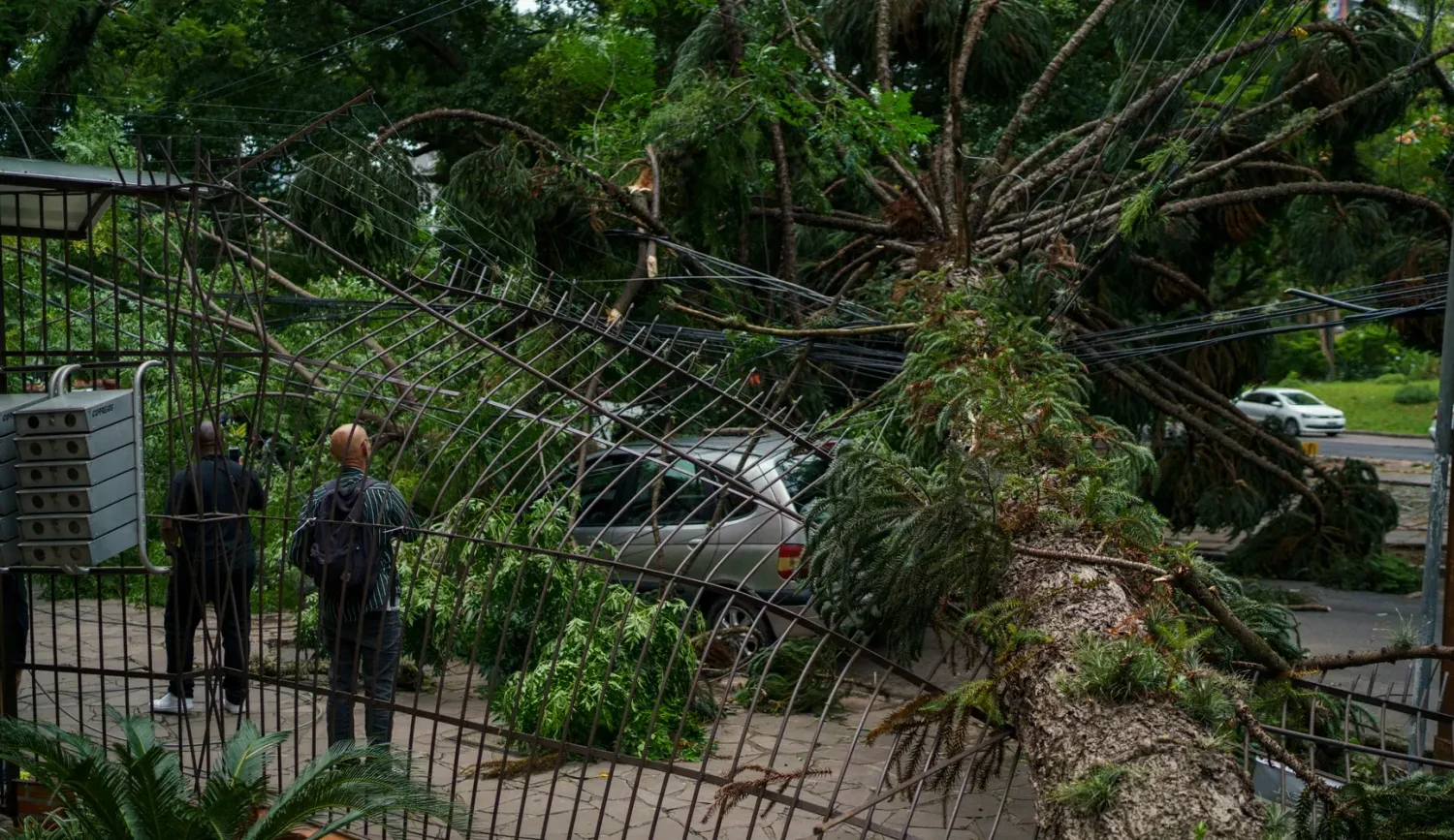 Storm in São Paulo: hundreds of thousands without power and millions in losses in Brazil