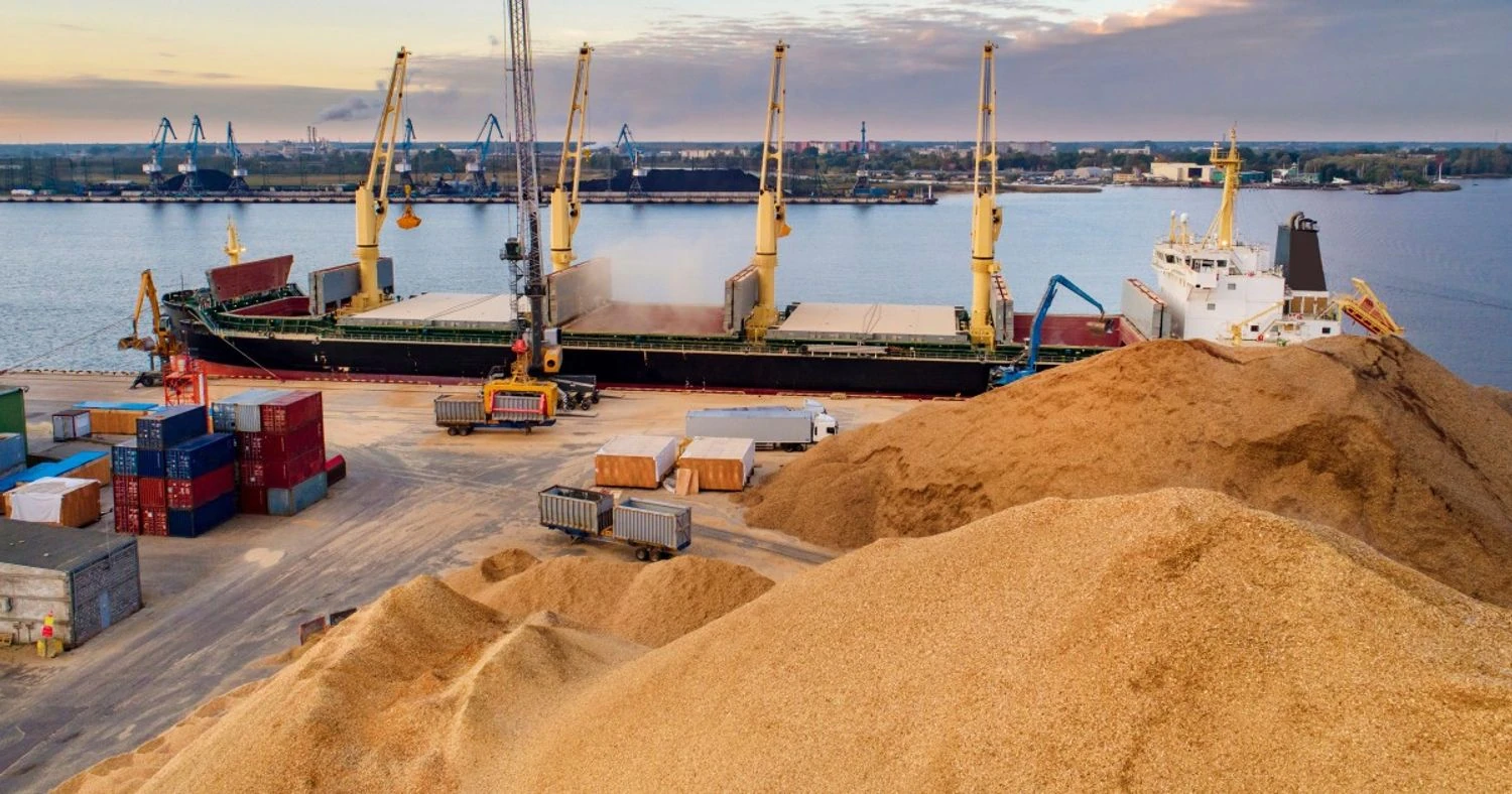 US Department of Agriculture reduces forecast for grain exports from Ukraine by 2.6 million tons