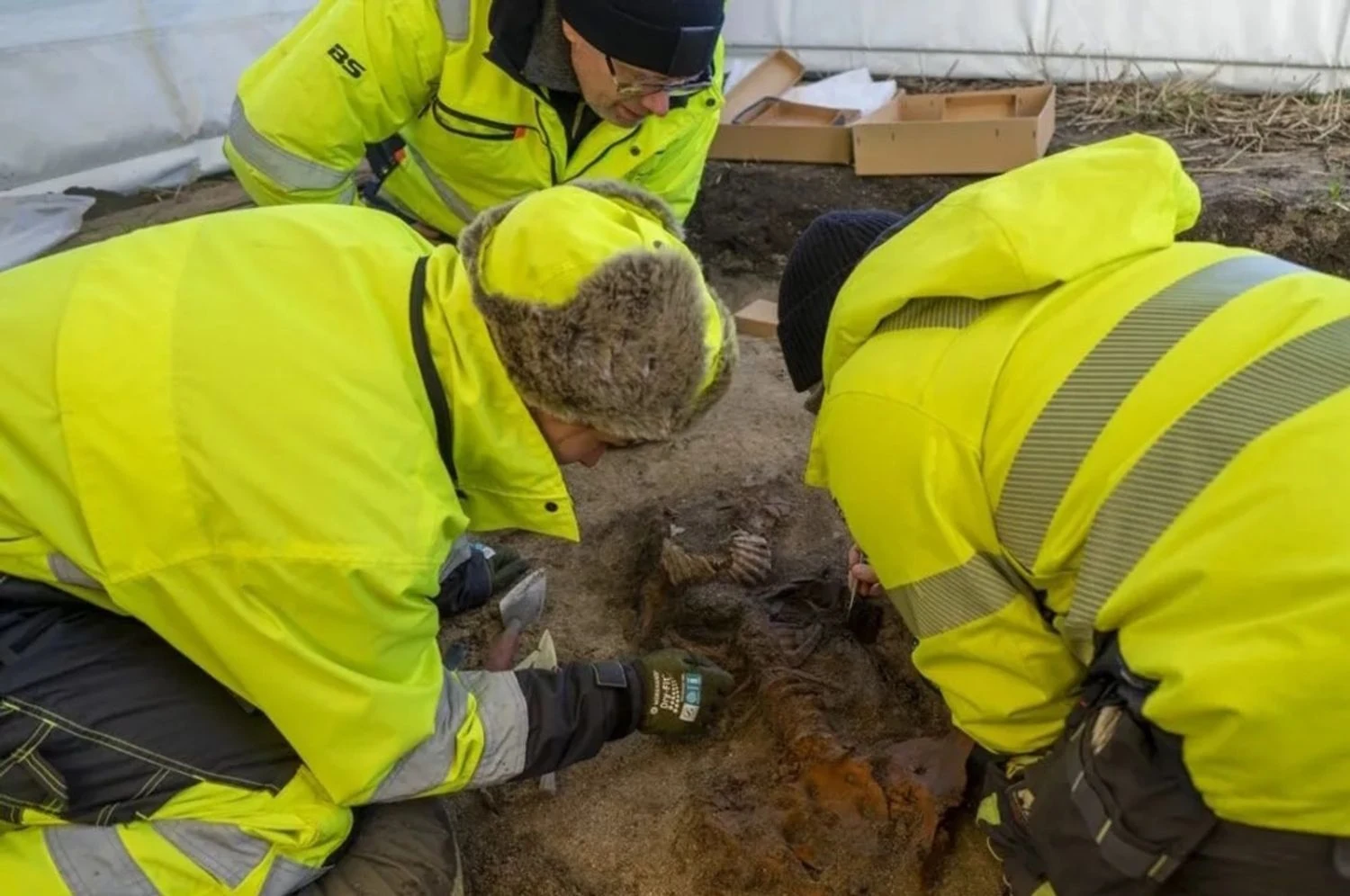 Viking grave with unusual artifacts found in Sweden: details of the discovery