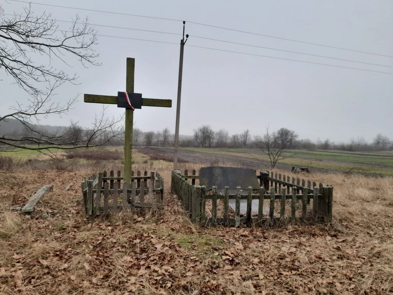 Ukraine and Poland are preparing for new search operations in Rivne region in spring - Ministry of Culture