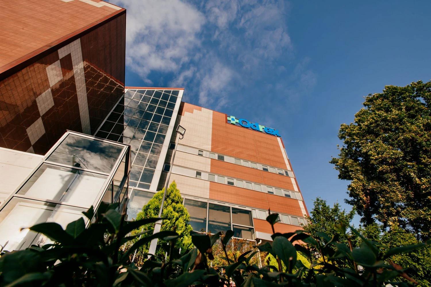 Law enforcement officers have opened 5 more criminal proceedings based on statements from relatives of victims and injured patients of the Odrex clinic.