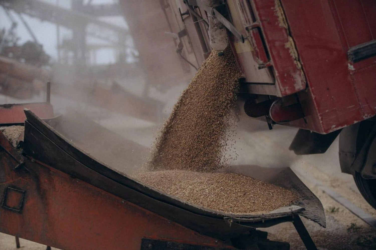 Ukraine completed the harvest: 57.6 million tons of grain and 17.3 million tons of oilseeds