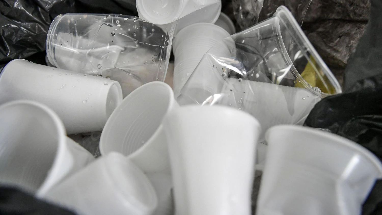 France postpones ban on plastic cups for four years
