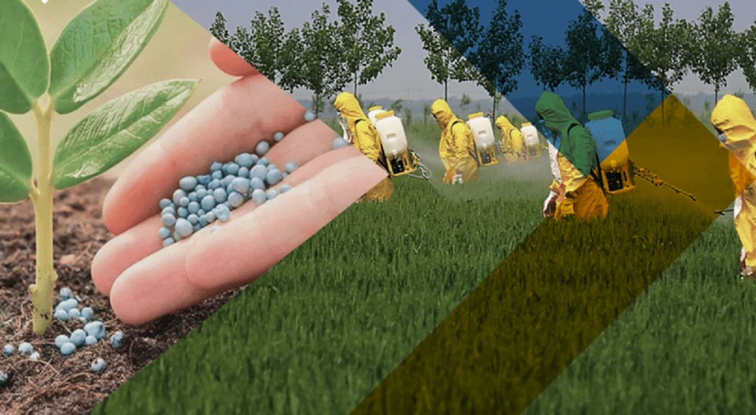 CNS: Russians use toxic chemicals in Crimea's agricultural sector