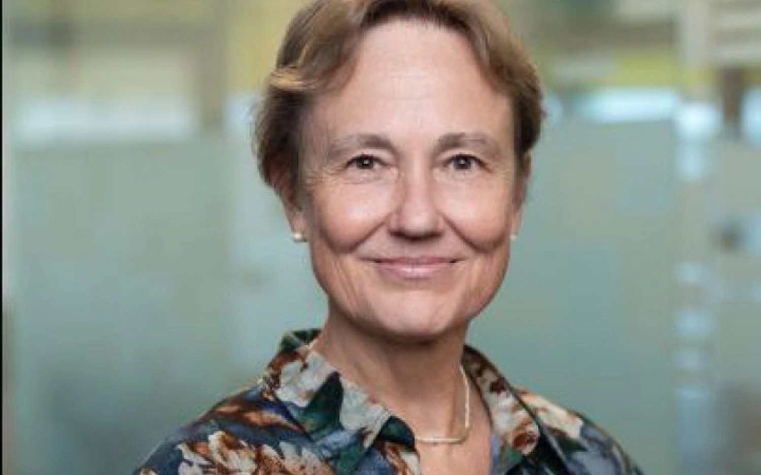 The government approved the appointment of Anka Feldhusen as the new business ombudsperson