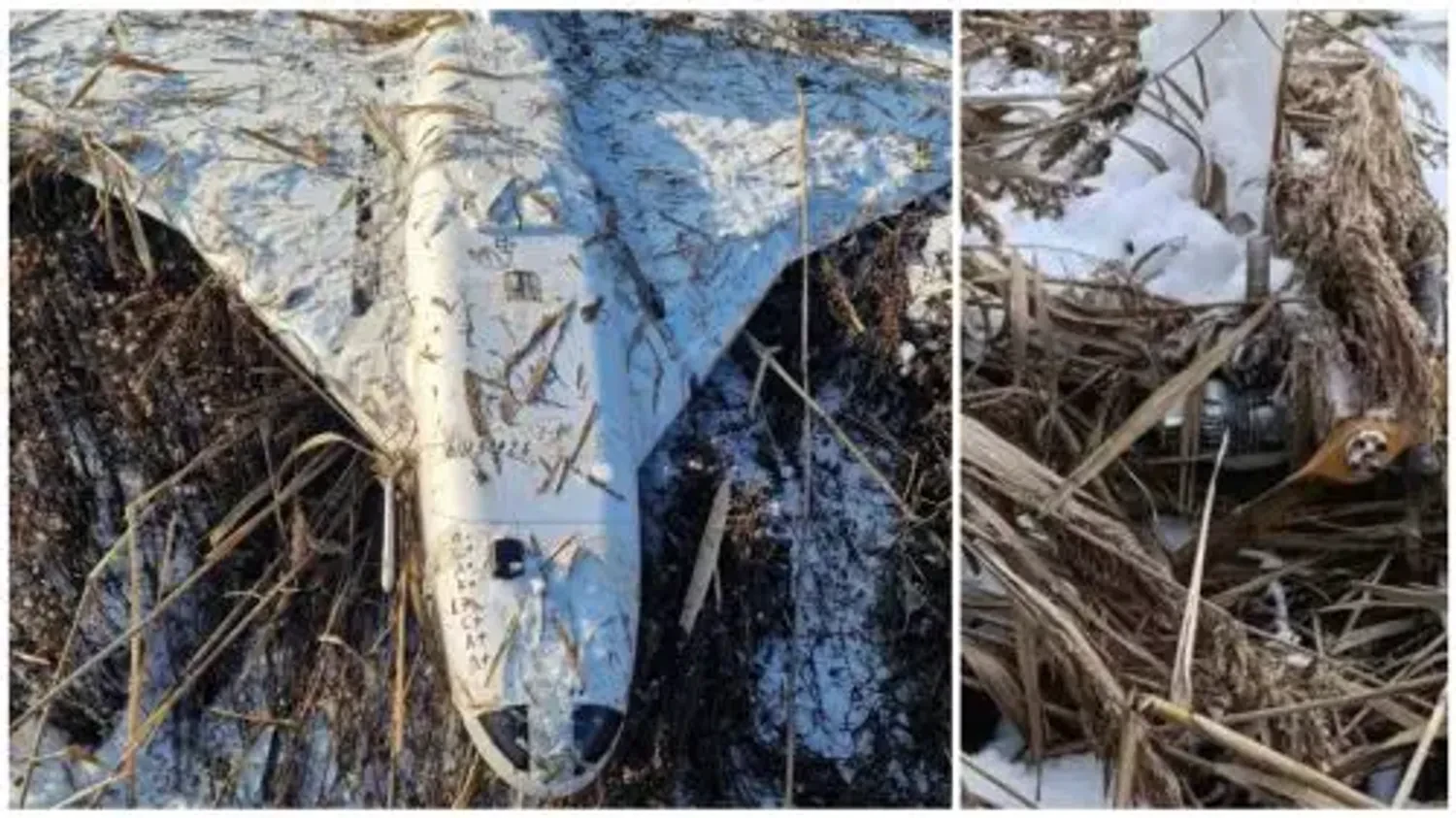 Russian 'Gerbera' drone found in Moldova: Country's Foreign Ministry condemns incident