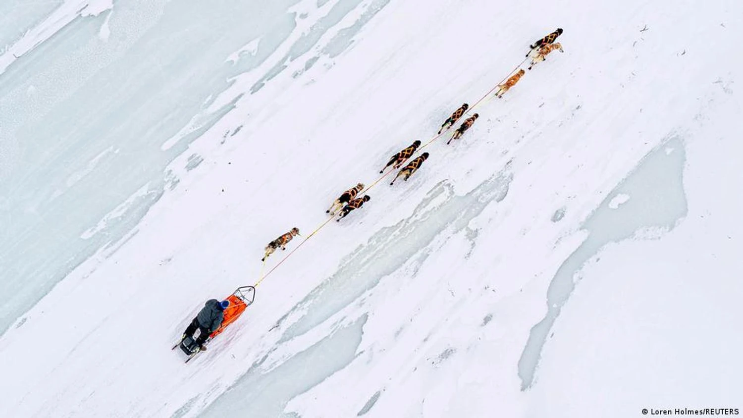 Dog sled race in Greenland: Trump's special envoy's invitation canceled