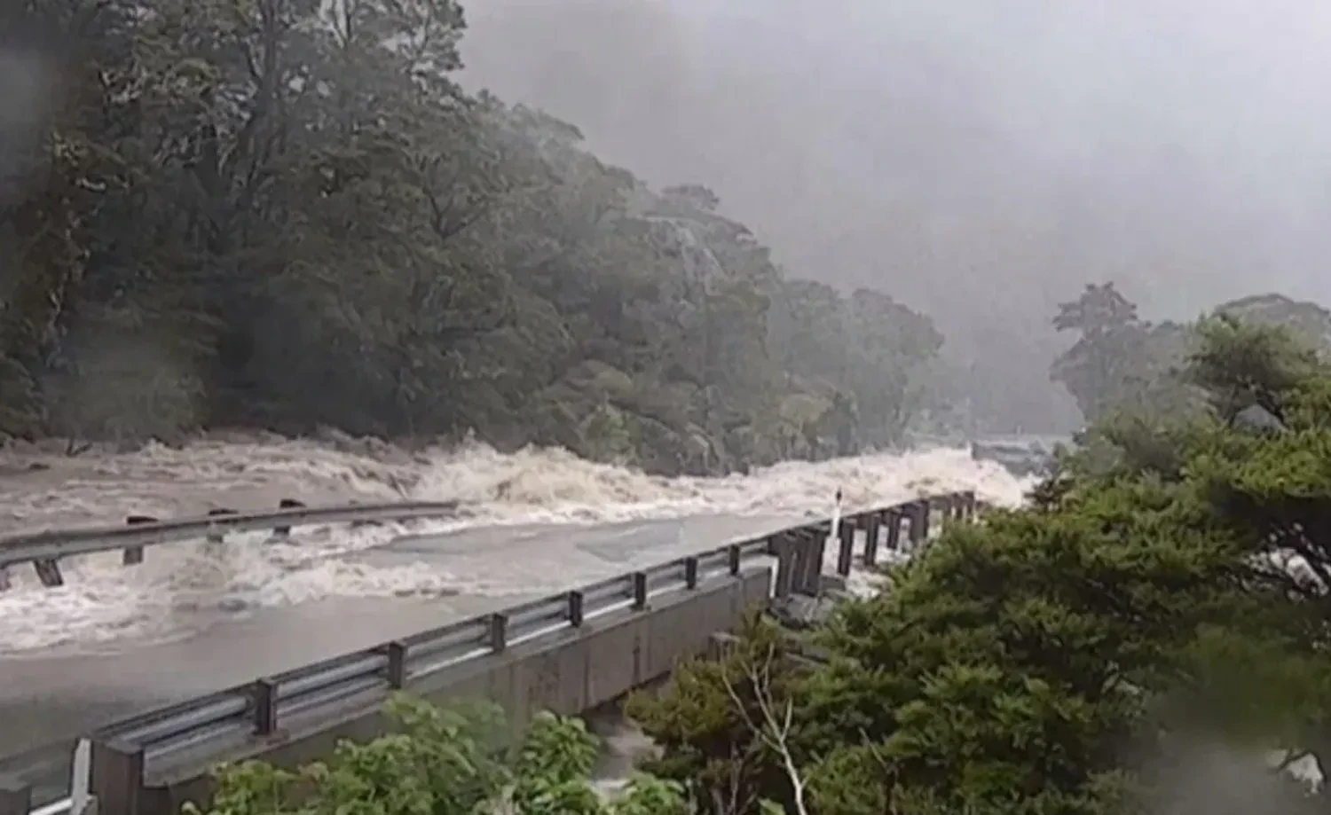 Devastating Landslide in New Zealand: People Missing on Mount Maunganui