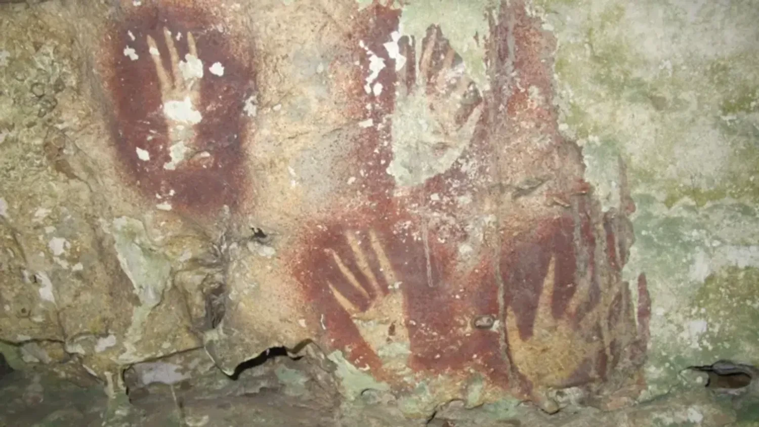 World's oldest cave painting discovered in Indonesia