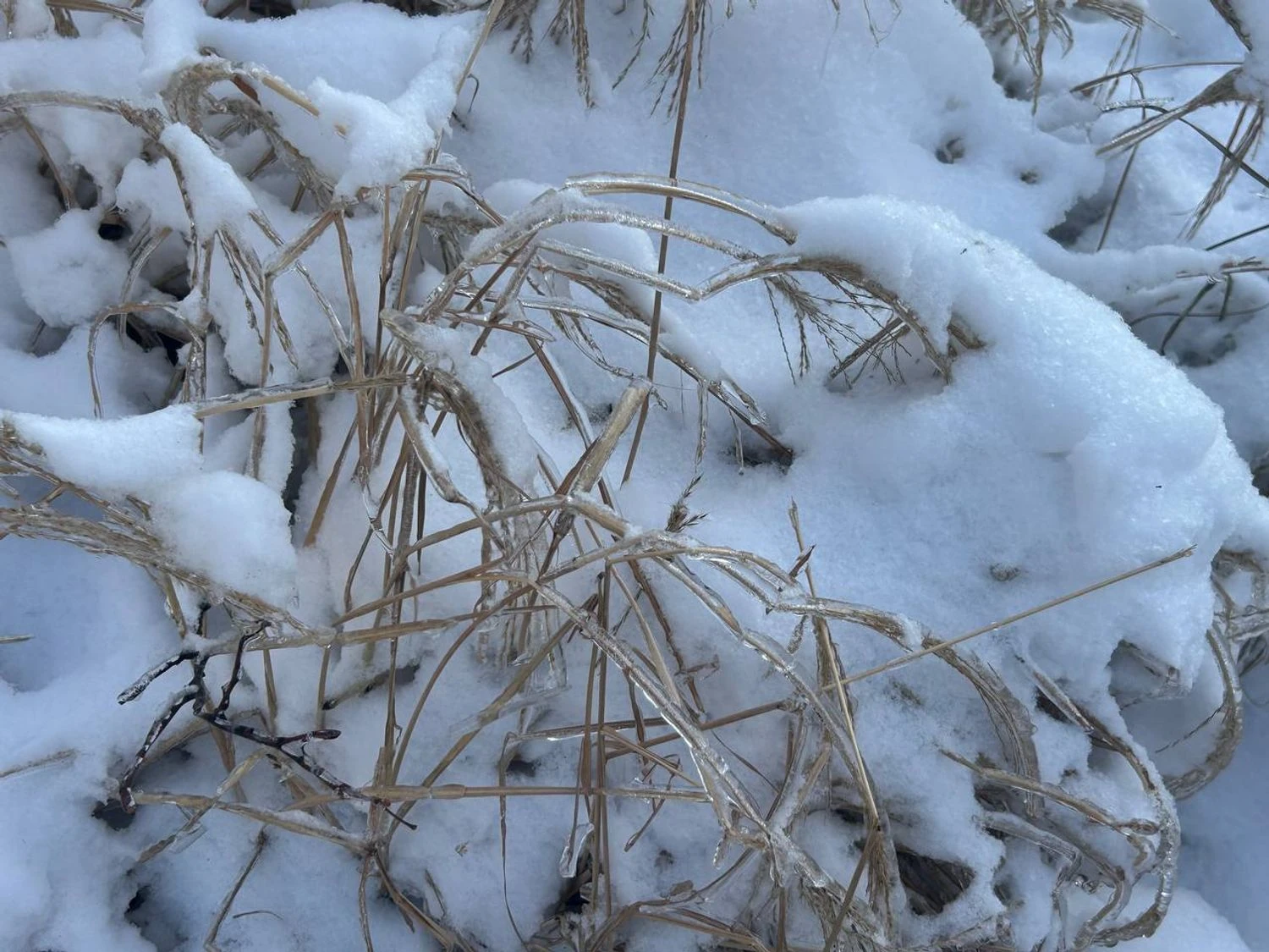 Ukraine to be hit by a cold snap down to -16 degrees, but then warming will come: forecast for January 26