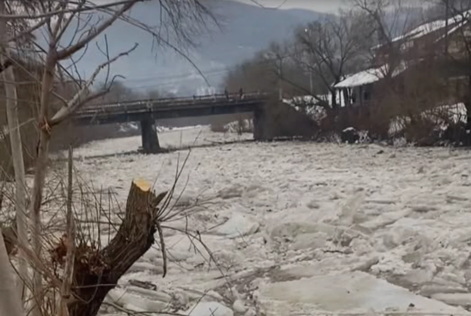 Amid warming temperatures, ice drift has begun on rivers in western Ukraine: video
