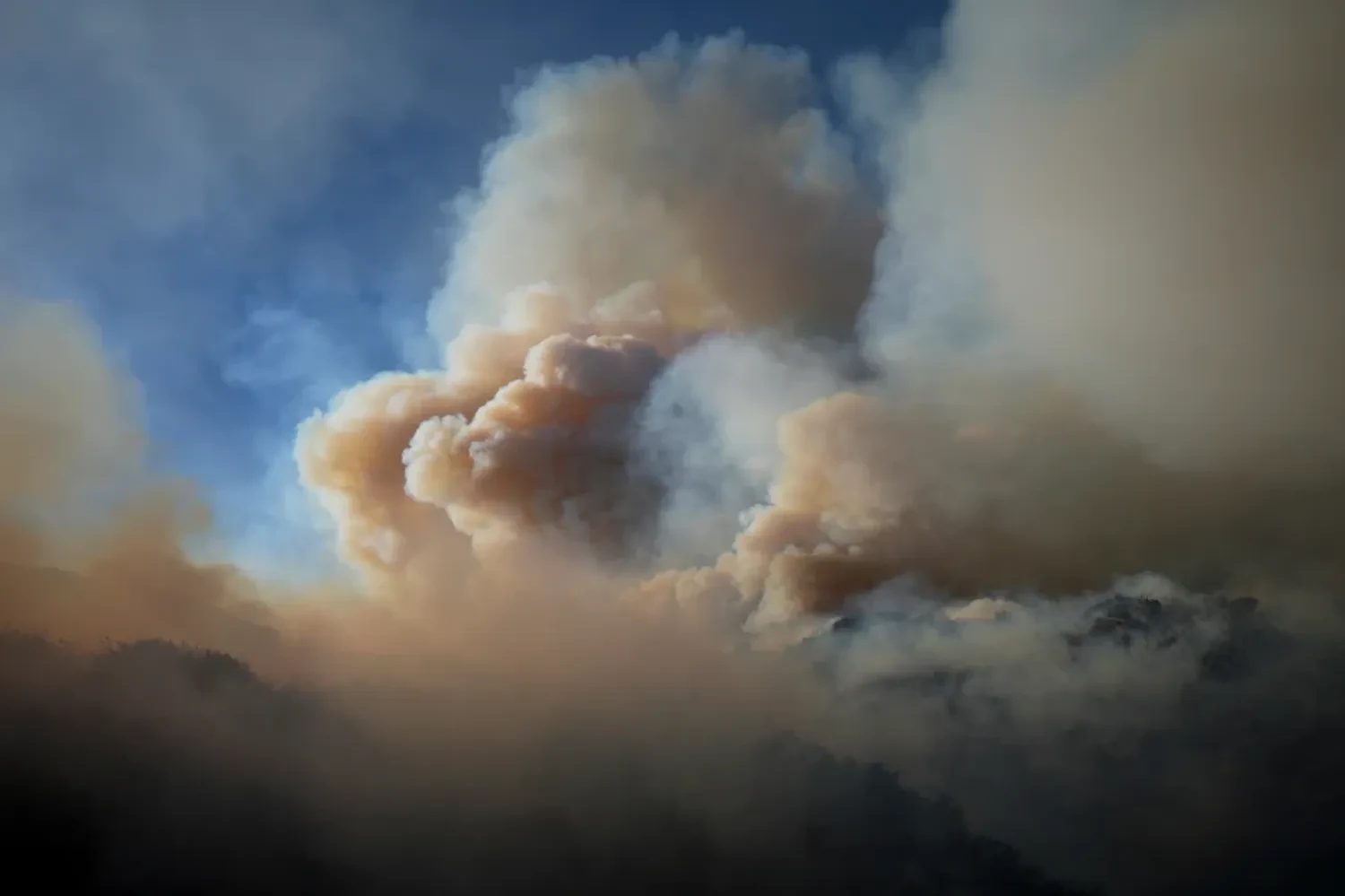 Wildfire smoke claims over 24,000 lives in the US annually: new study