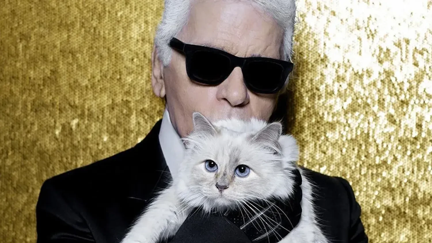Mysterious plaintiff challenges Karl Lagerfeld's will: will his cat Choupette lose her luxurious life?