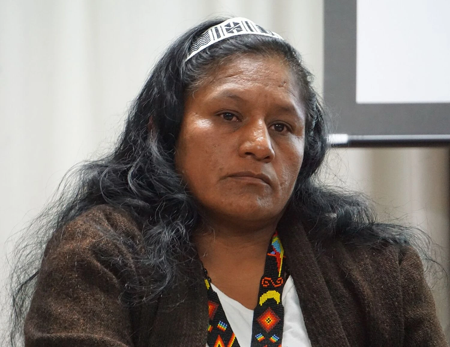Indigenous Senator Disappears in Colombia: Security Forces Search for Aída Quilcué