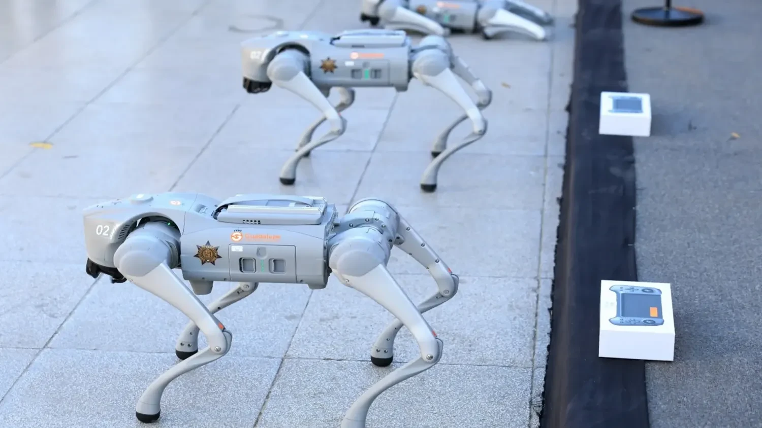 Mexican Police to Use Robot Dogs for Security at 2026 World Cup