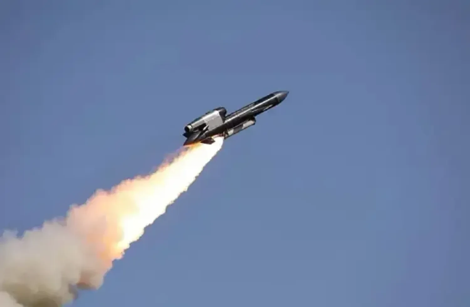 Ukraine has few Flamingo missiles, as the Russians managed to hit one of the production lines - Zelenskyy