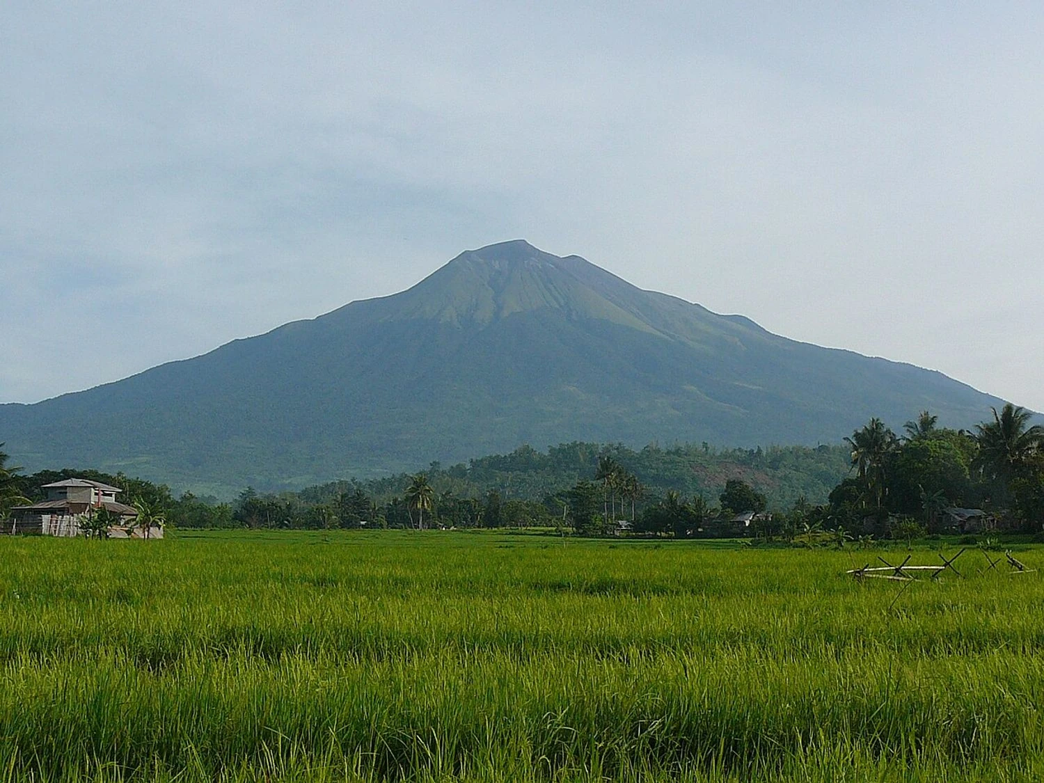 Canlaon volcano erupts in the Philippines - plume of smoke rises 2000 meters
