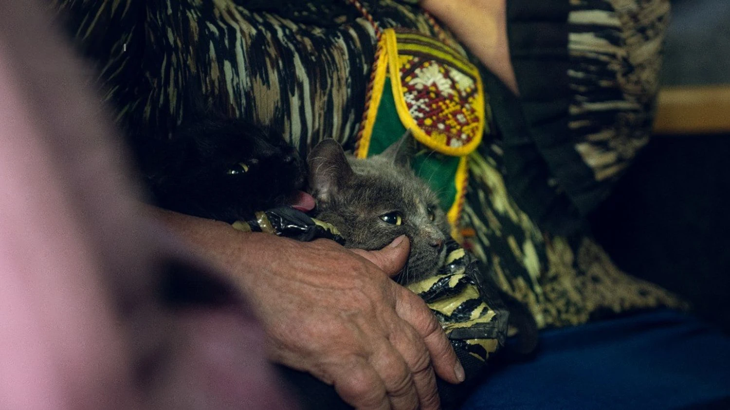 Over 130,000 Ukrainians evacuated in a year, housing needed for 4.6 million IDPs - Deputy Prime Minister