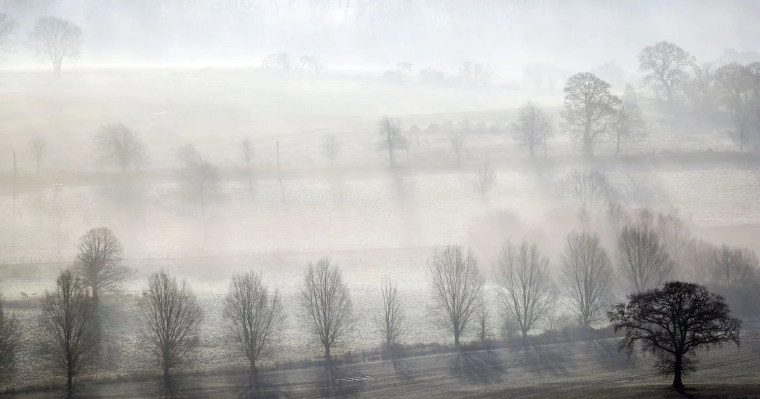 Precipitation and fog: meteorologists give weather forecast for February 24