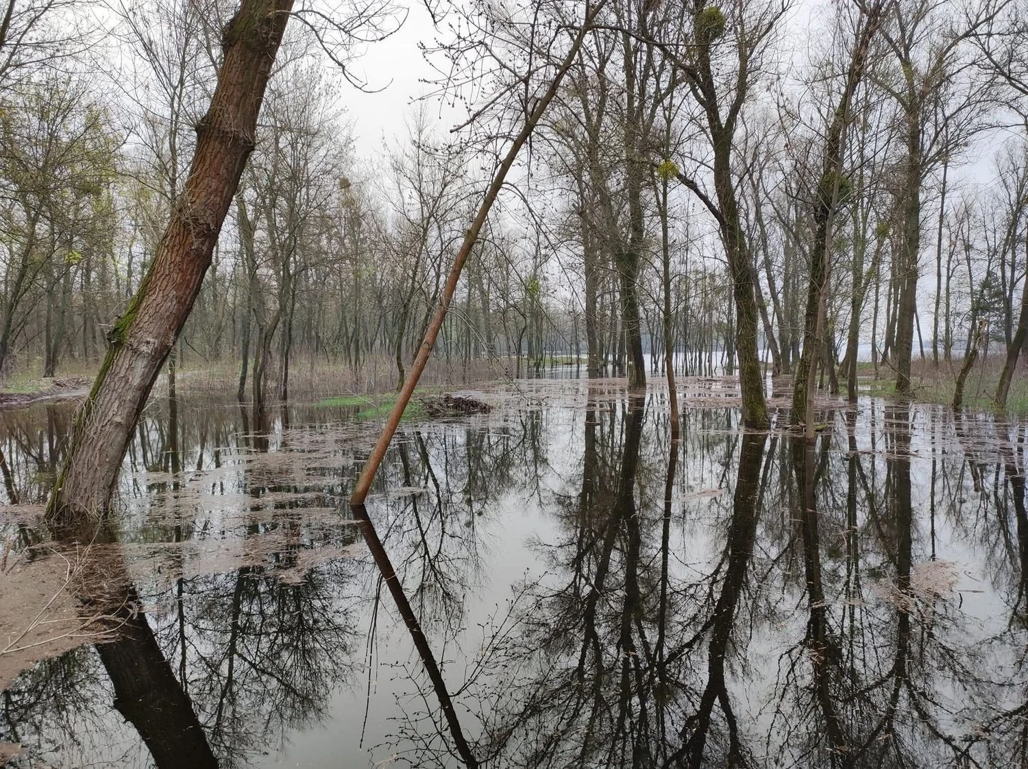 Spring: Is Ukraine threatened by large-scale flooding and what will happen to Kyiv?