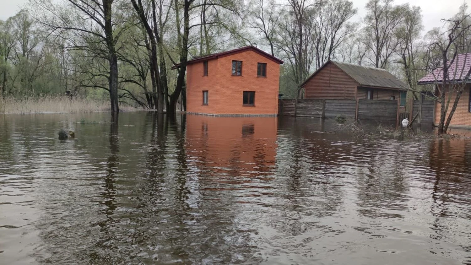 Ukraine anticipates active spring floods, with river levels already rising by 2.5 meters - Ministry of Economy