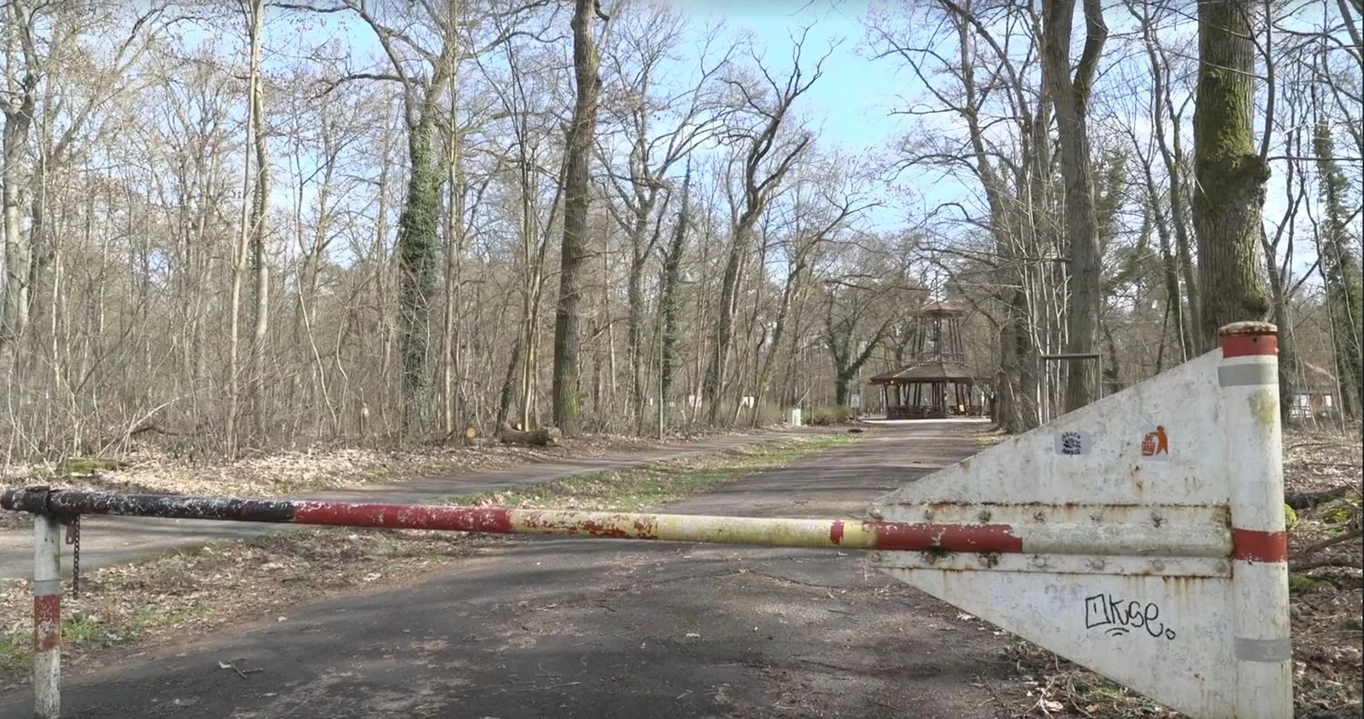 Body of 19-year-old Ukrainian woman found in German forest - Media