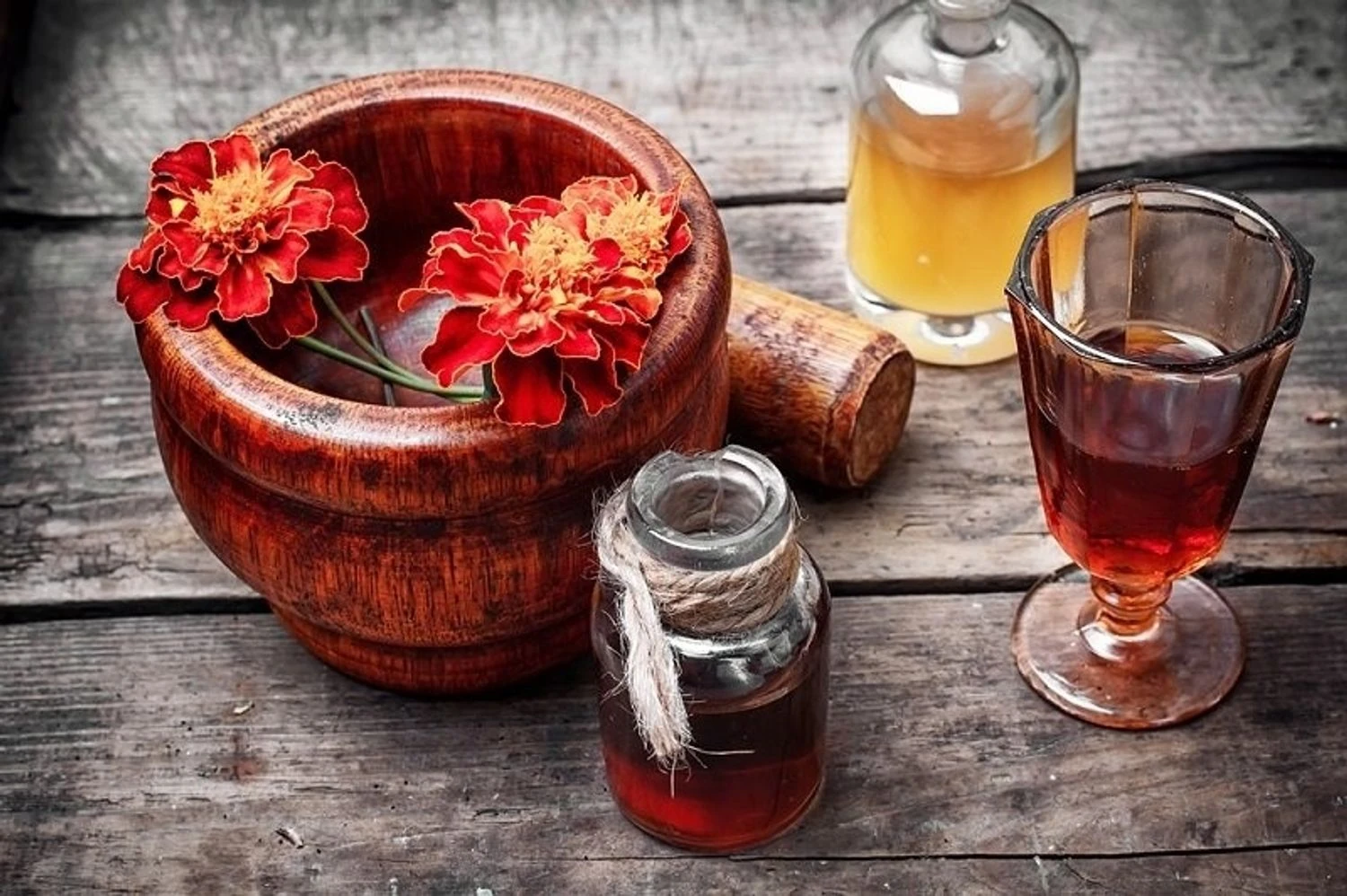 Benefits of marigolds: medicinal properties and uses of the plant