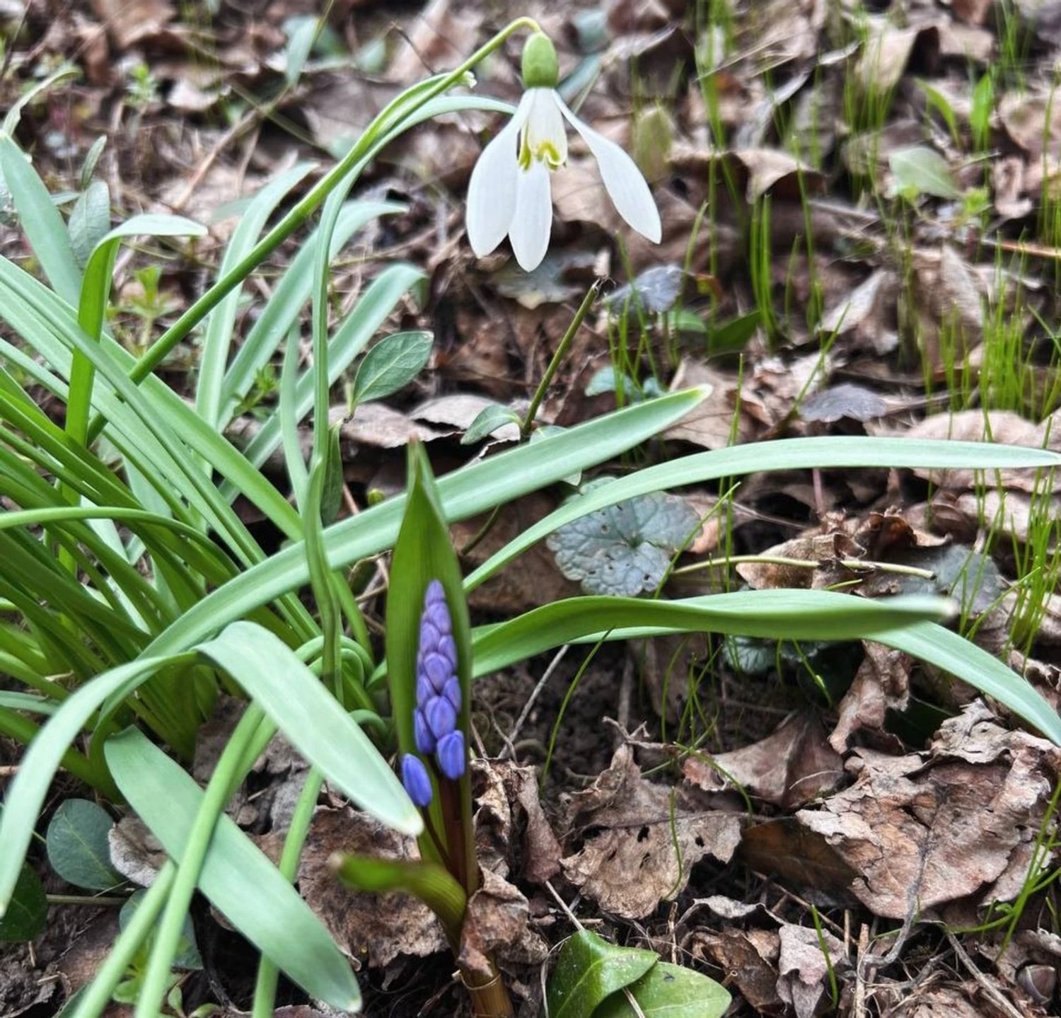 Ukrainians can expect warmer weather and intermittent rains in early April - forecaster