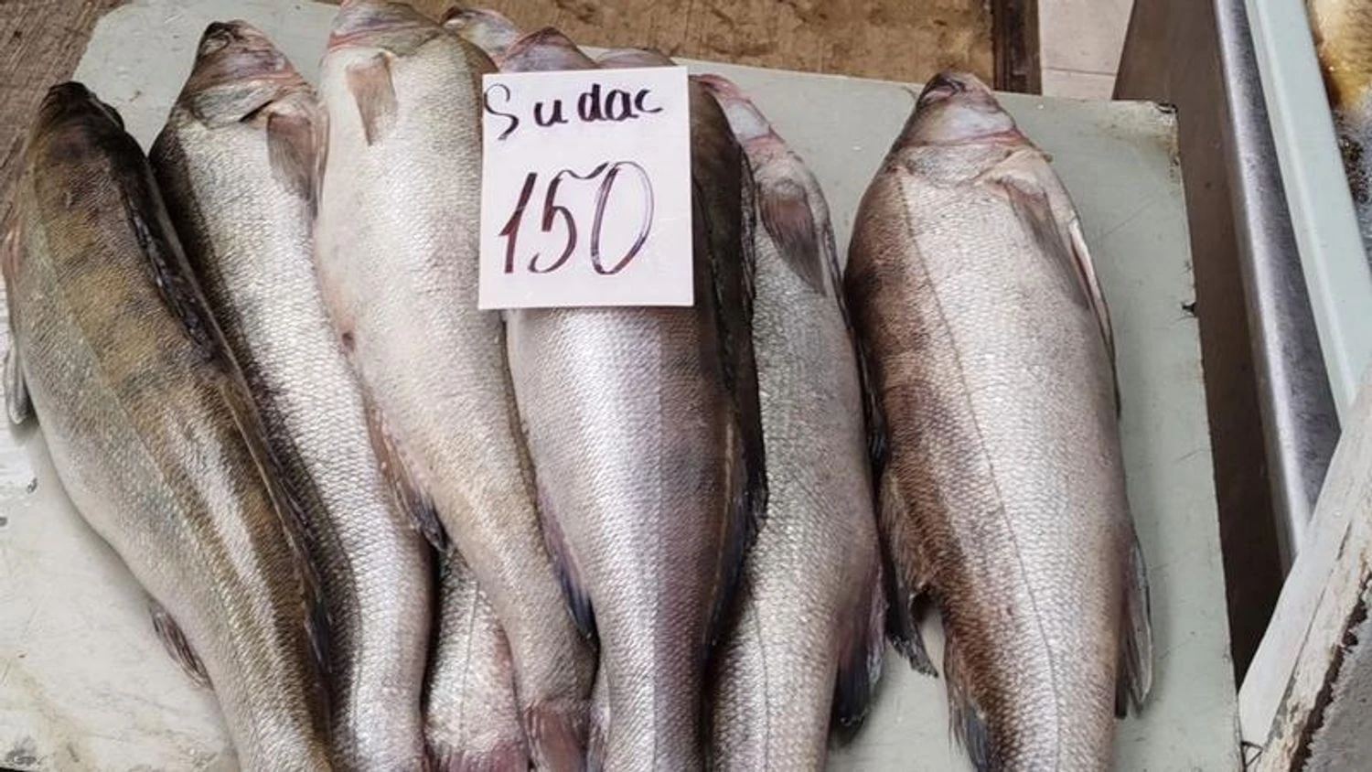 Moldova recommended not to consume fish from the Dniester after the river pollution