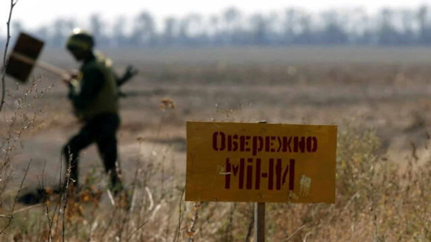 This year, Ukraine plans to demine almost 10,000 more hectares