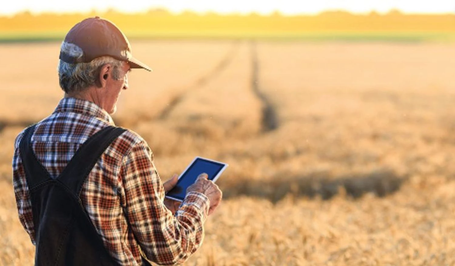 Government strengthens support for farmers in frontline territories