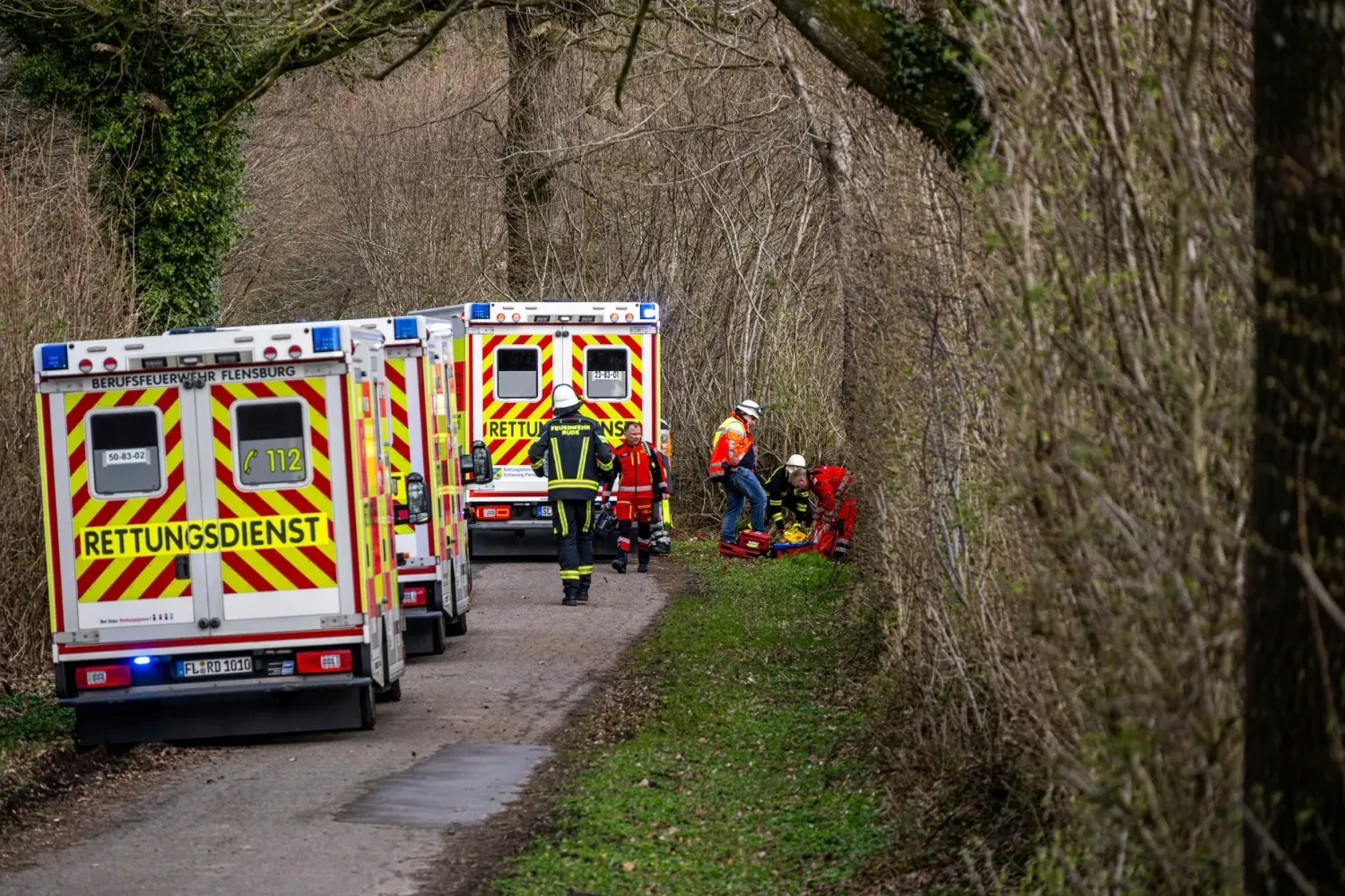 Three people, including an infant, died in Germany after a tree fell on them