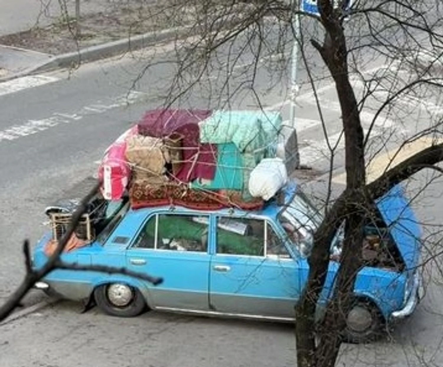 Chickens, a dog, and a whole life in one car - police in the capital helped a 70-year-old displaced person