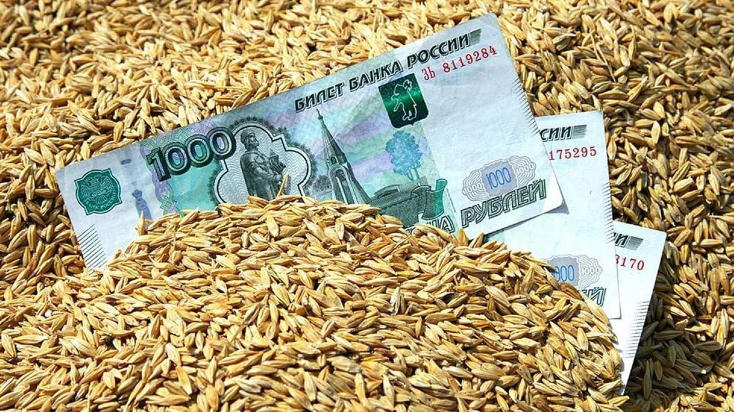 Russia sharply cuts funding for agricultural sector due to budget deficit - intelligence