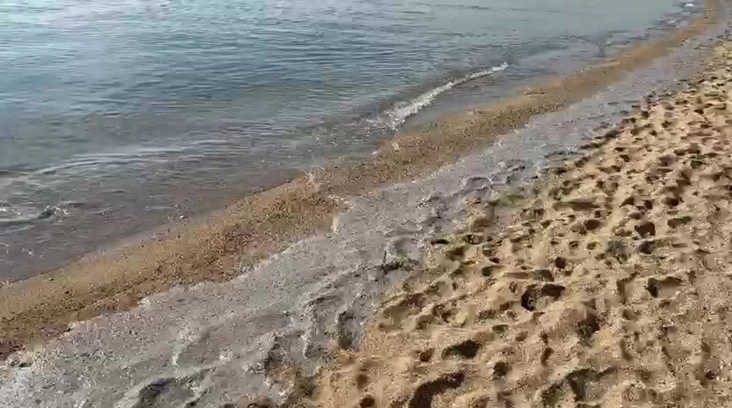 Environmental pollution detected on the Black Sea coast