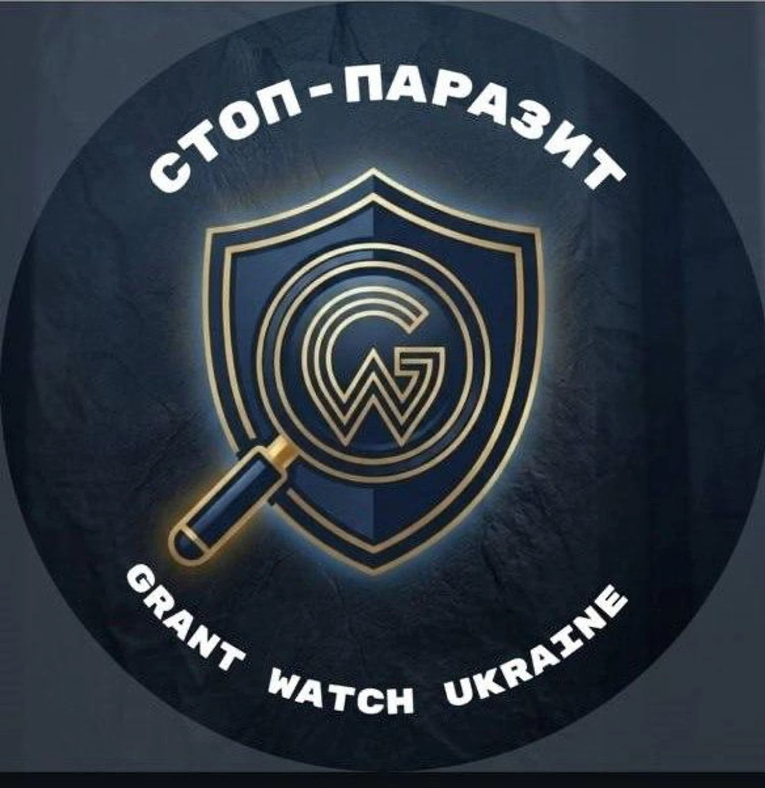 "Stop-Parasite" plans to control the use of international aid by "professional activists" - veteran